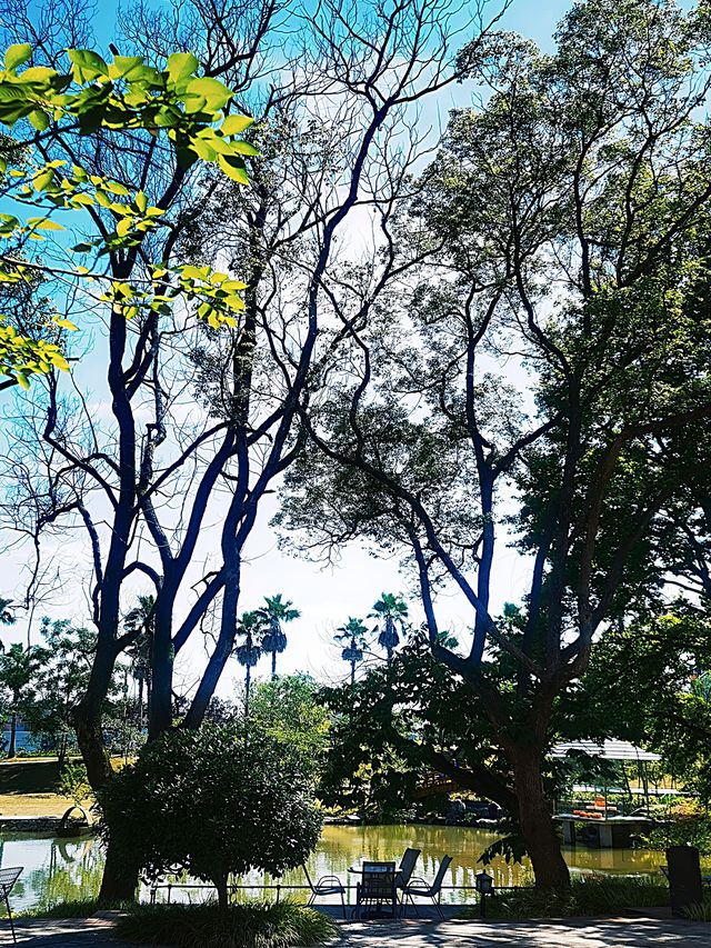 初夏的【巴夫洛】，花開盡夏美不勝收