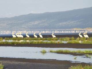 Today's Tanzania is really beautiful ~.
