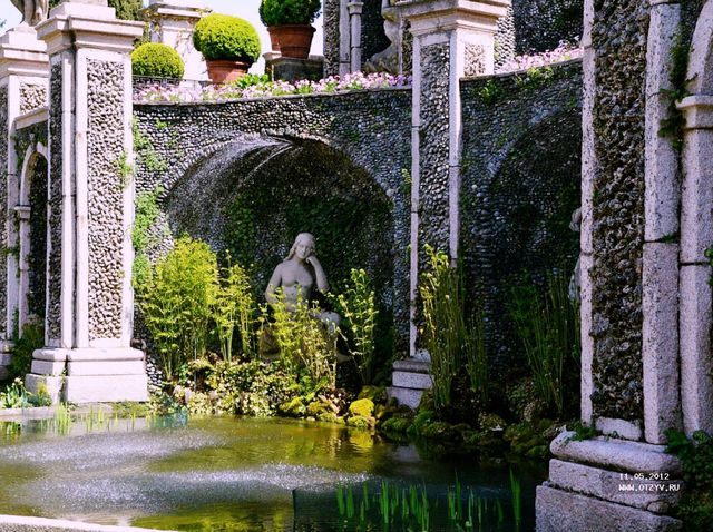 Island Garden Charm and Magic