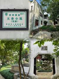 CityWalk新發現｜姑蘇區竟藏著寶藏綠光森林
