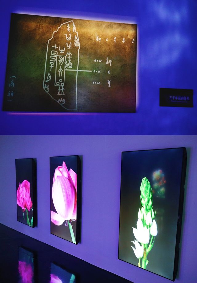 魔都逛展｜星辰之外——流浪的太陽系