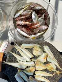 三亞海釣，趕海之體驗