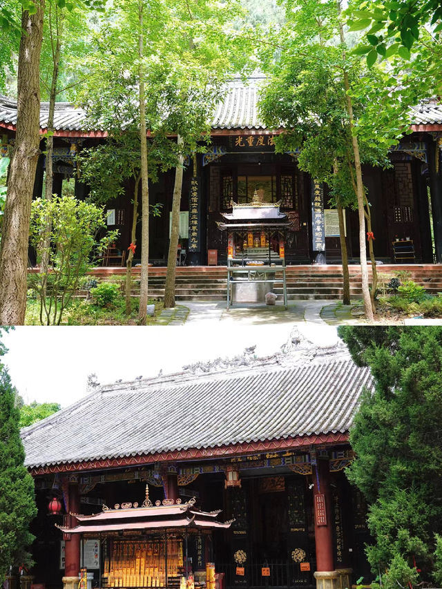 樂至報國寺一-佛在石中