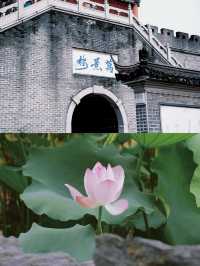 不在蘇杭在深圳古城下荷花開了…治癒