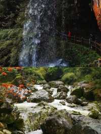 雅安龍苍溝疊翠溪風景區