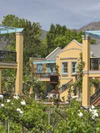 🌟 Luxe Sleeps in Stellenbosch Vineyards 🍇