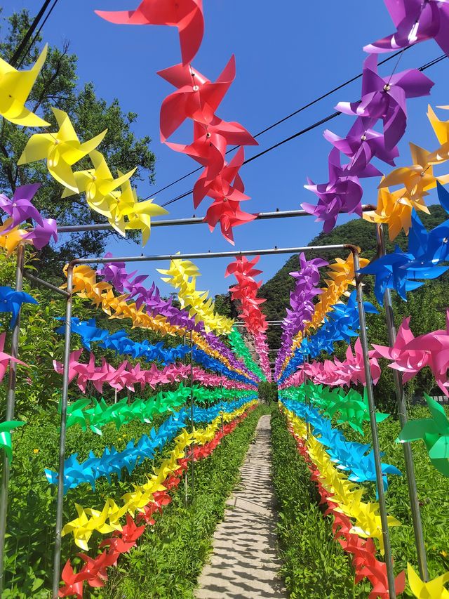 偶遇“鴉鶻關”，路上棲息地，弄得真不錯！