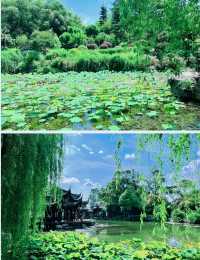 答應我來綿陽一定不要錯過這個寶藏公園