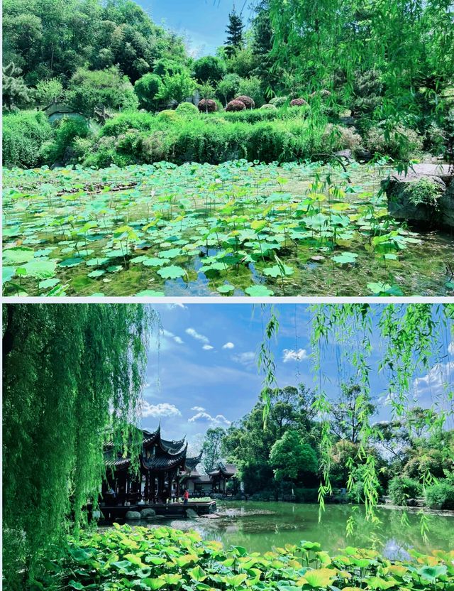答應我來綿陽一定不要錯過這個寶藏公園
