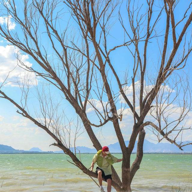 逃離北京|打工人挑戰週末旅遊第1站懷來