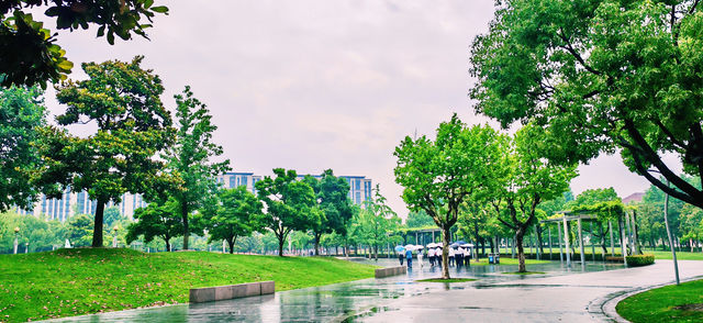 閔行文化公園｜梅雨瀟瀟瀝瀝，公園鬱鬱蔥蔥