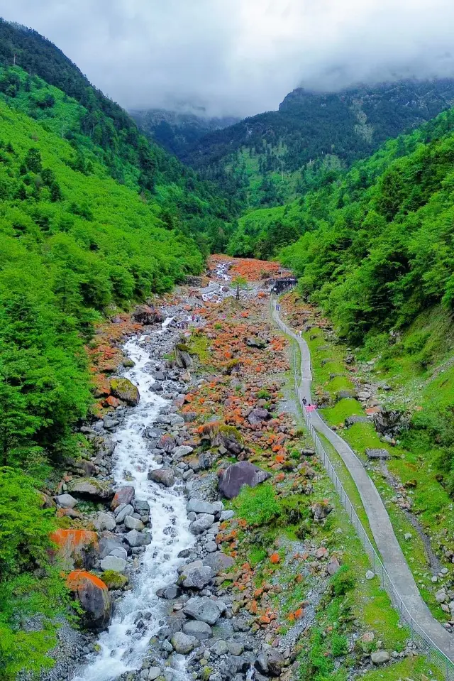 The ultimate summer retreat around Chengdu! Come to the 23°C Laba River
