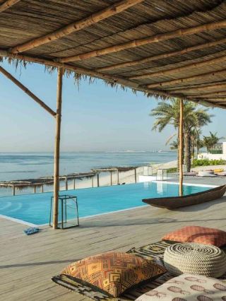 🌴🏖️ Abu Dhabi's Luxurious Island Escape! 🌞🍹