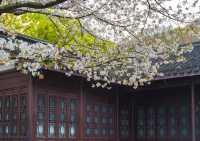 來冷門的瑪瑙寺，賞台灣工藝歷史