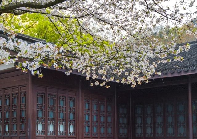 來冷門的瑪瑙寺，賞台灣工藝歷史