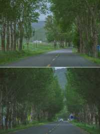 總要去趟草原天路吧，去吹吹夏天的風