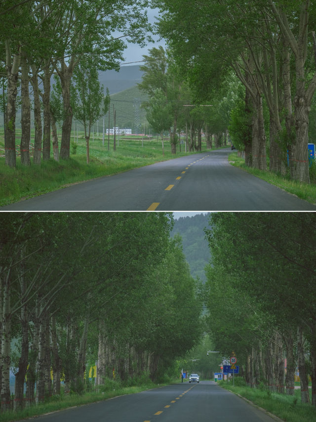 總要去趟草原天路吧，去吹吹夏天的風