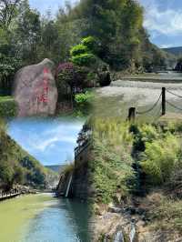 掉落山林間，鑽進大自然裡湖州安吉