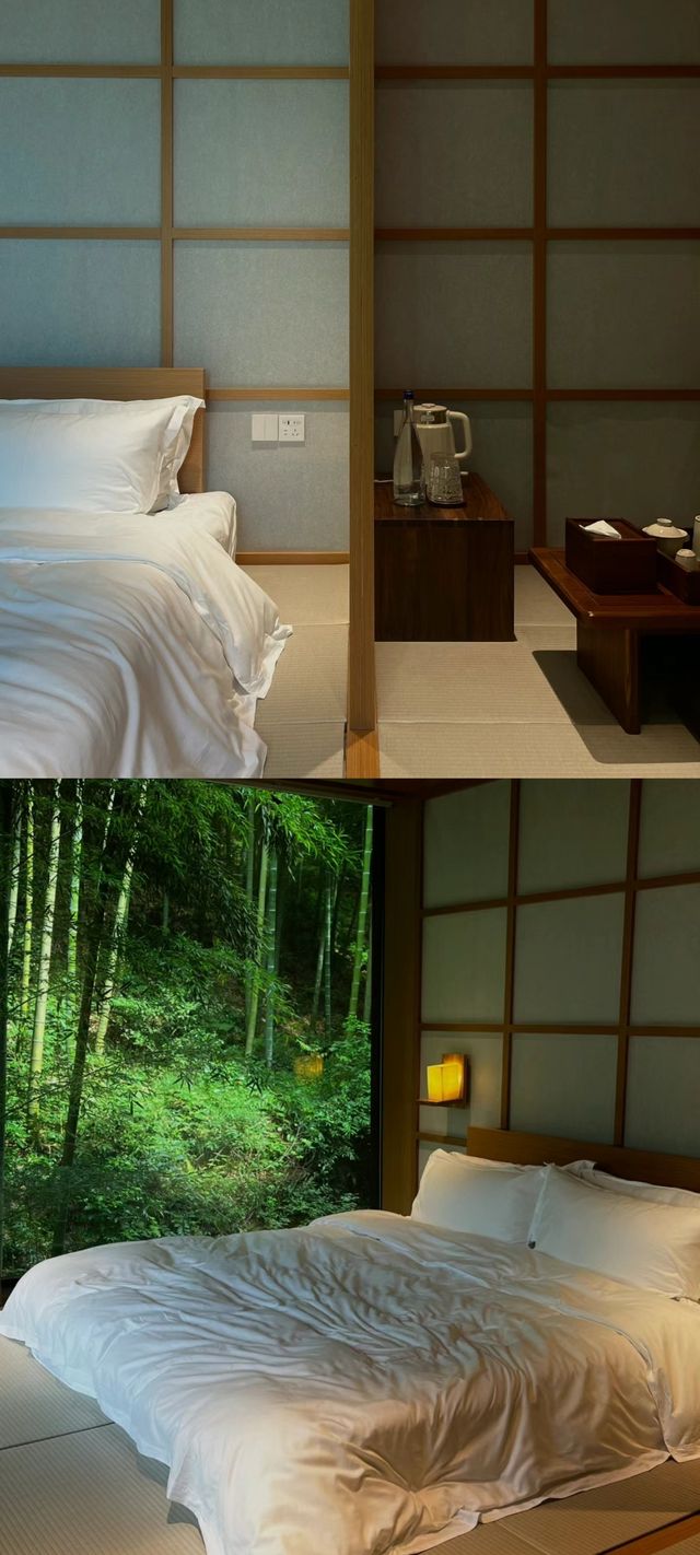 剛從莫干山回來又讓我住進了人生民宿…