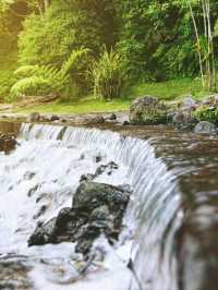 🌟 Puncak's Paradise: Grand Aston Hotel Highlights 🌟