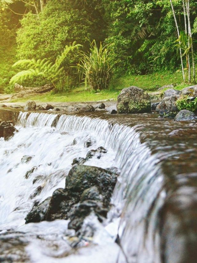 🌟 Puncak's Paradise: Grand Aston Hotel Highlights 🌟