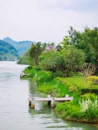 🌟 Guangzhou Getaway: Wenxuan Garden's Hot Spring Bliss 🌟