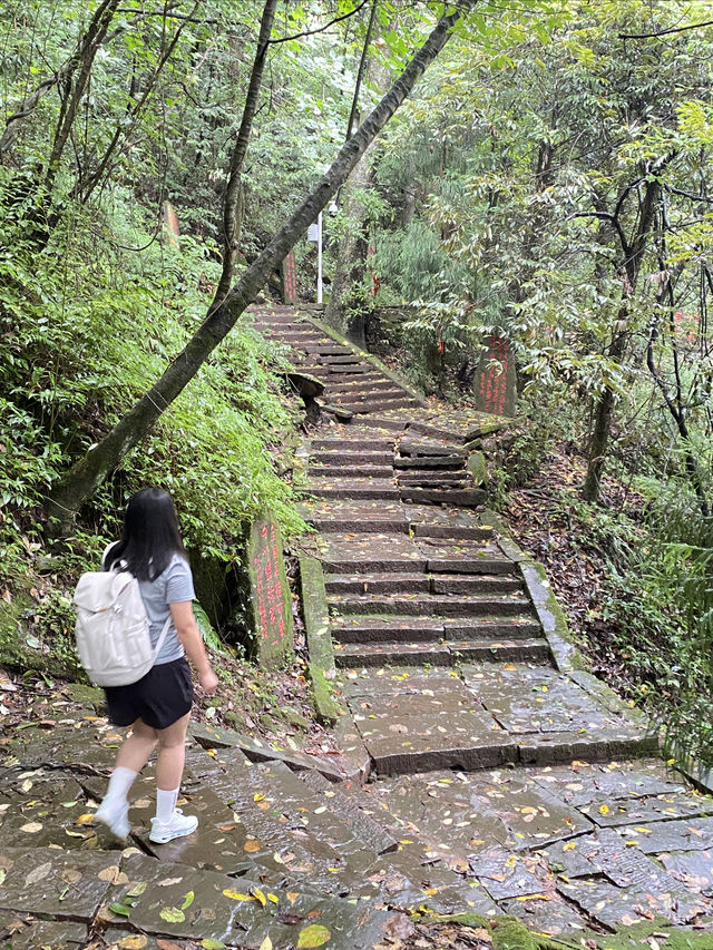 成都周邊！！蒙頂山簡直是寶藏徒步地！！