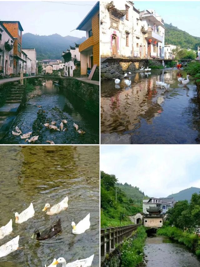 江浙沪玩水地圖|收下這10處清涼溯溪地吧