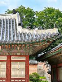 A glimpse of Korea’s majestic heritage • Walking in the footsteps of Kings and Queens🤴👸