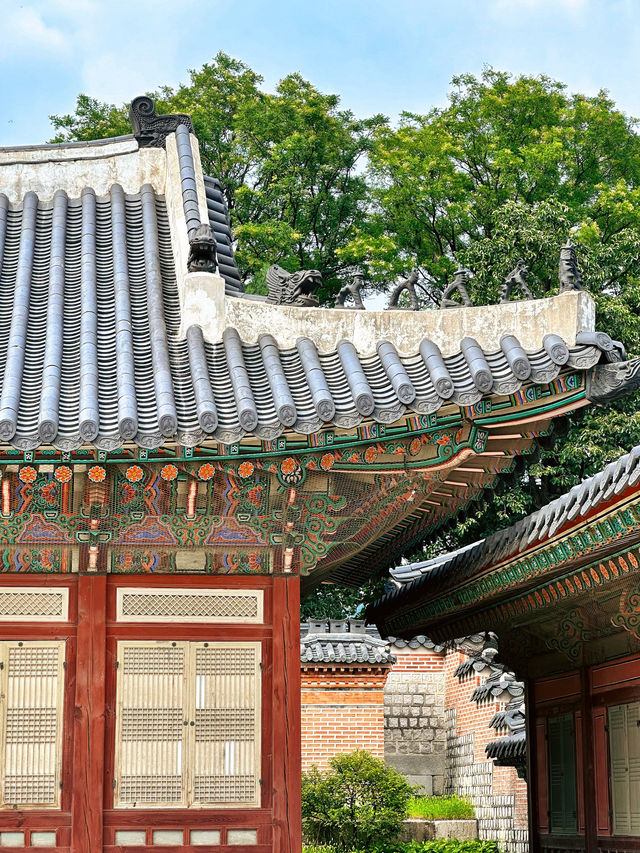 A glimpse of Korea’s majestic heritage • Walking in the footsteps of Kings and Queens🤴👸