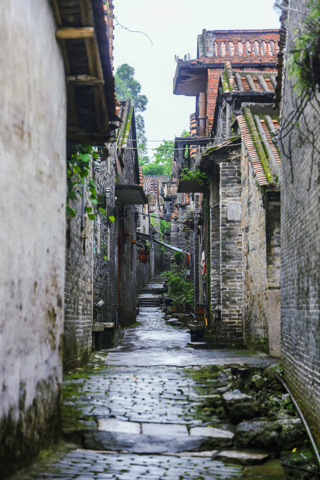 廣州周邊遊雨天來三水別具一番景象很美