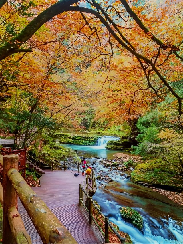 黎坪美景