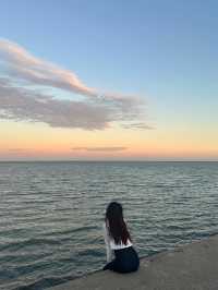上海海灣森林公園攻略｜小眾不踩雷！