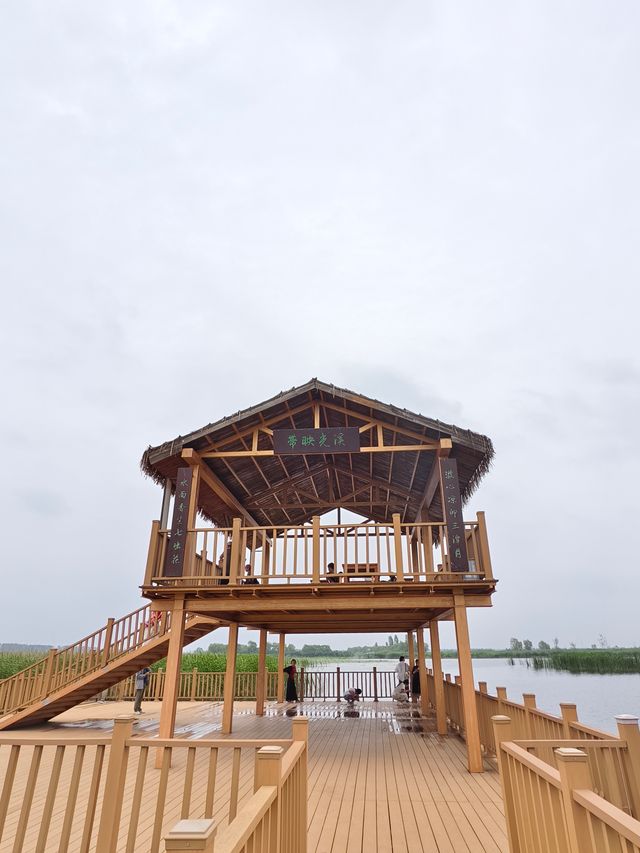 白洋淀十里長廊（河北省保定市，5A級景區）。