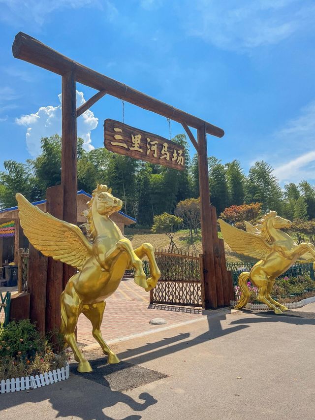 被常德動物園裡小動物治癒！來抄遊玩攻略啦||：湖南常德野生動物世界總佔地2500畝 園區裡面有世。