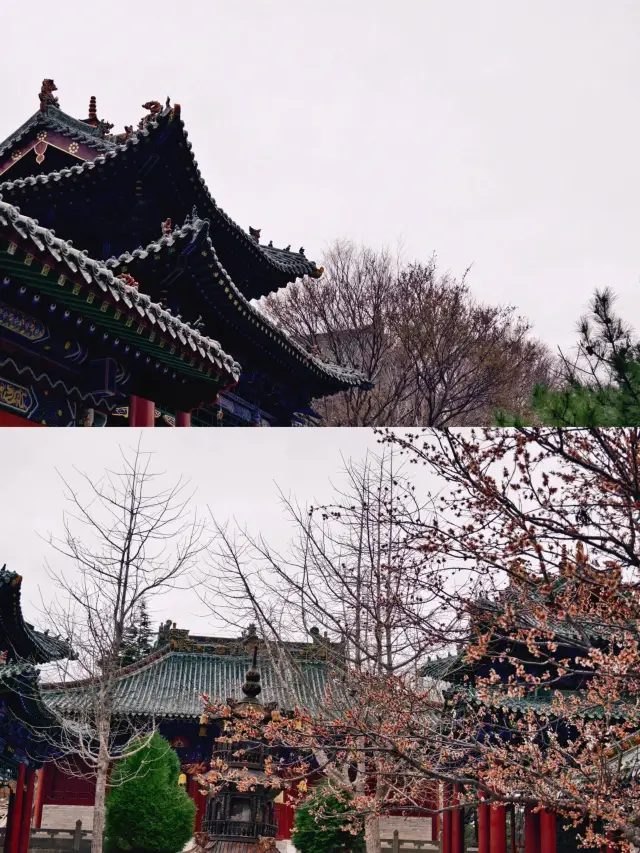 Mountain Monday | Wulaofeng, Yuncheng.