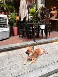 蛇口Citywalk：下輩子要在蛇口當漁民！