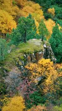 山河已秋｜祁連山冰溝河景區。