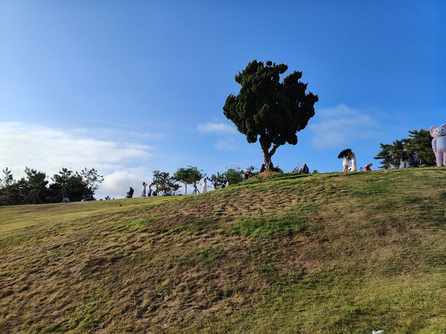 遊小麥島。