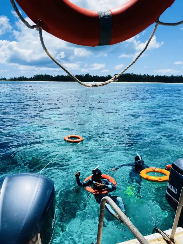 Kota Kinabalu: A Dreamy Journey to Borneo.