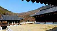 又松日常/尤庵史蹟園地探訪。