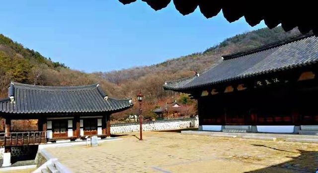 又松日常/尤庵史蹟園地探訪。