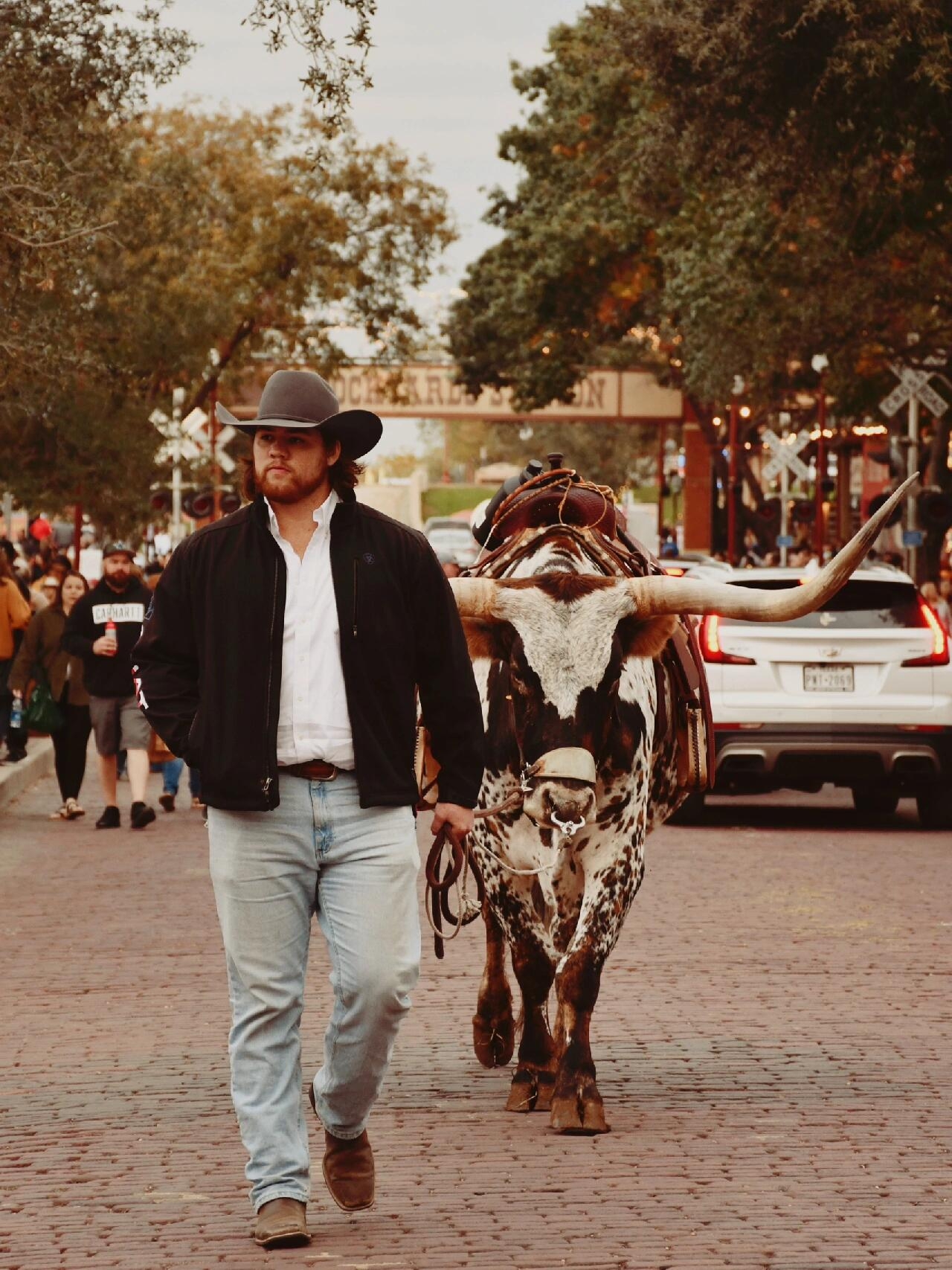 Westworld | Dallas Cowboy Town Day Tour Guide.