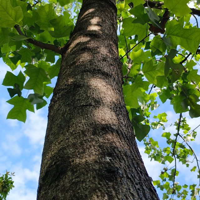 西溪濕地公園周家村入口。