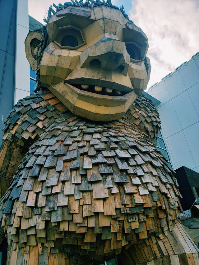 西雅圖自然之旅｜探索伊薩誇的「Jakob Two Tree」。