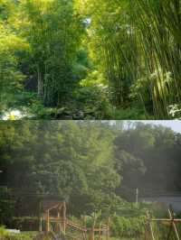 廣州增城民宿|藏在山裡的高端野奢營地。