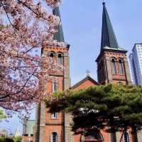Daegu metropolitan city. Church beauty with Cherry Blossoms
