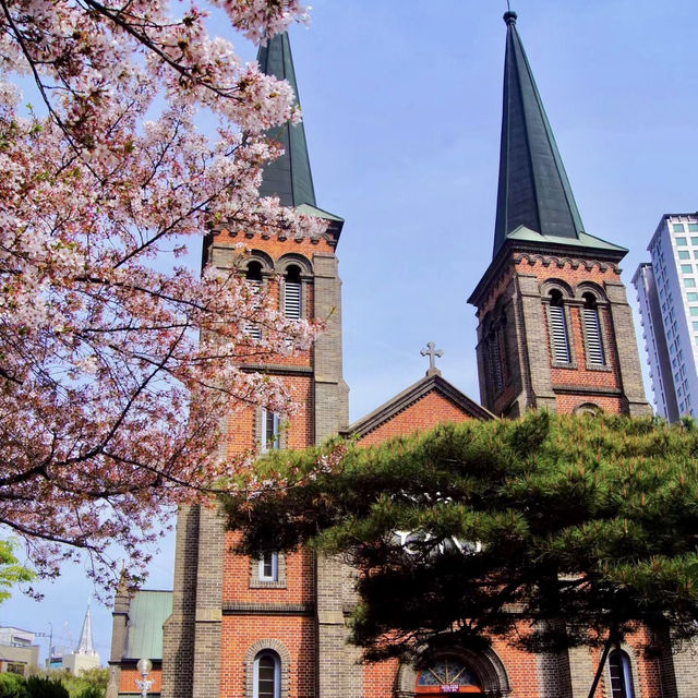 Daegu metropolitan city. Church beauty with Cherry Blossoms