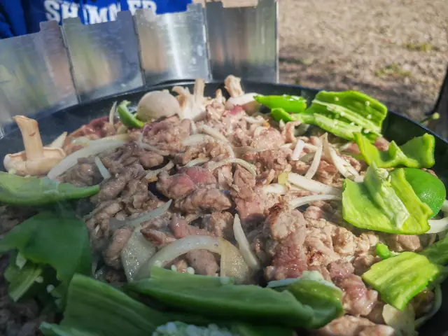 呼倫貝爾弘吉剌部蒙古大營簡直太治癒了……。