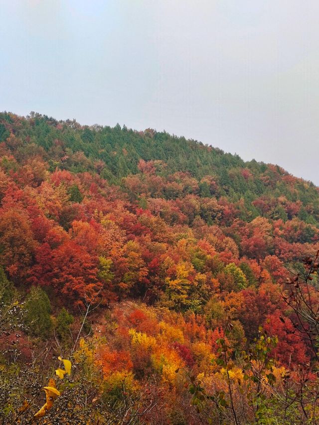北京金海湖 | 一半山川一半湖海，快去美瘋了！。